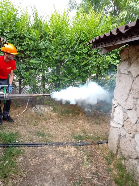 Igiena Serv, dezinsectie, deratizare si dezinfectie