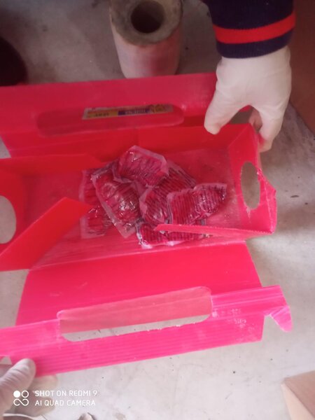 Igiena Serv, dezinsectie, deratizare si dezinfectie
