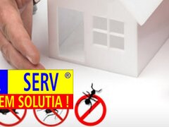 Igiena Serv, dezinsectie, deratizare si dezinfectie